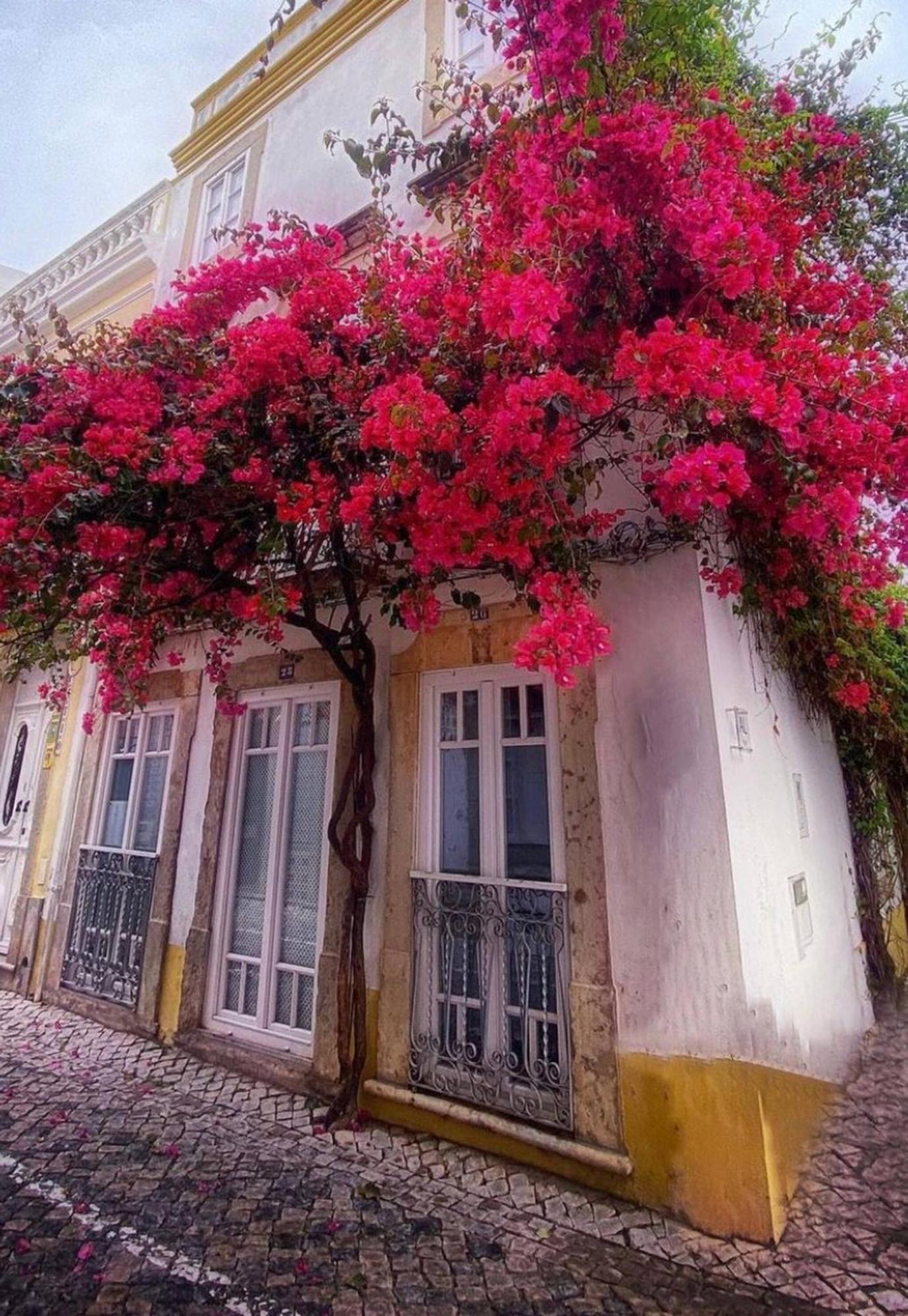 Stylish Studio Gilao in Taviras Historical Centre Exterior foto